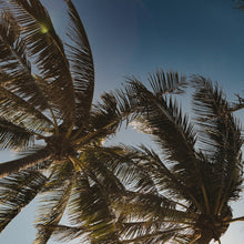  CABANA