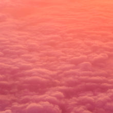  VENUS