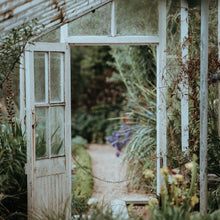  Greenhouse Wax Melts